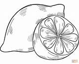 Lemons coloring page  Free Printable Coloring Pages sketch template