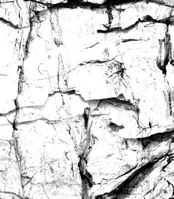 Photoshop Brushes: High Resolution Tree Bark Texture Brushes | Tracytruong's Blog - Tutorials Design