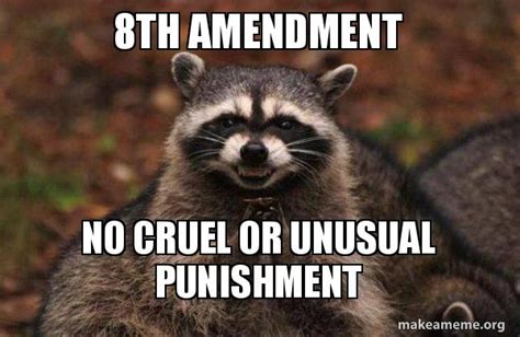 8TH AMENDMENT NO CRUEL OR UNUSUAL PUNISHMENT - Evil Plotting Raccoon | Make a Meme