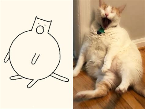 Really Accurate Cat Drawings