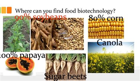 Food Biotechnology Series: What's the Truth About GMO (Part 2) - Jen ...