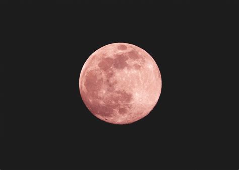 Pink Moon April 2024 Astrology Zodiac - Hilde Charlotte