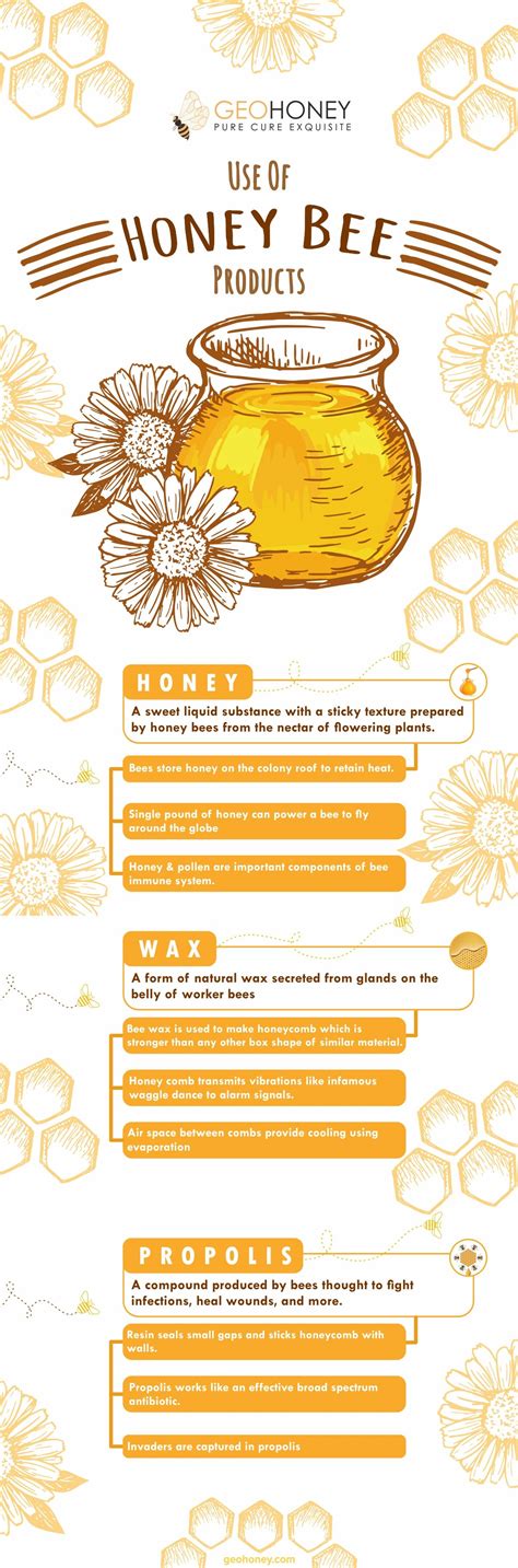 Honey Bee Products | Uses of Honey | GeoHoney | Bee facts, Honey uses, Honey