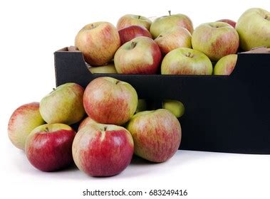 400 Cortland Apples Images, Stock Photos & Vectors | Shutterstock