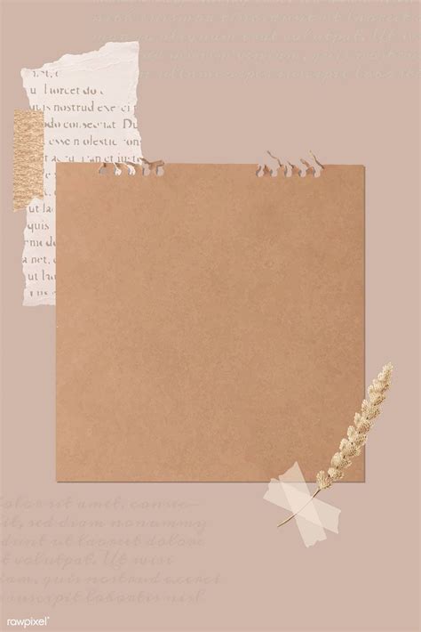 Ripped newspaper and flower stem on old brown paper banner vector | premium image by rawpixel ...
