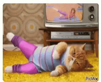 Gym Working Out GIF - Gym WorkingOut Cat - Discover & Share GIFs