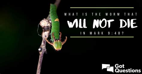 What is the worm that will not die in Mark 9:48? | GotQuestions.org