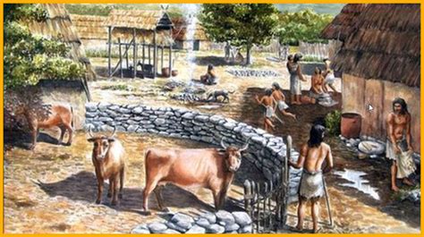 S T R A V A G A N Z A: LIVESTOCK OF THE EARLY EUROPEAN FARMERS