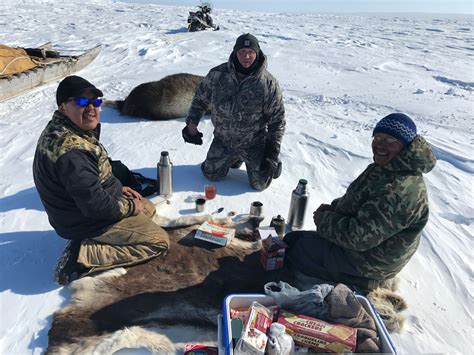 Musk Ox hunting dreams come true quickly