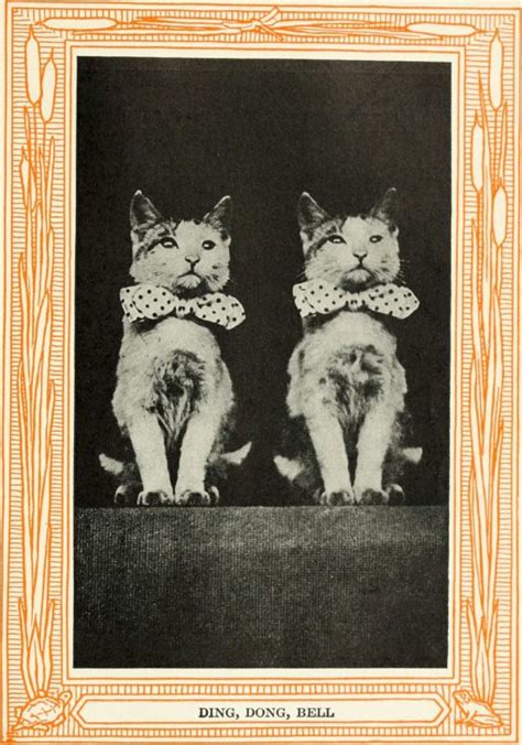 kittens_and_cats_a_book_of_tales_1911_14749910941 - HistoryBitz