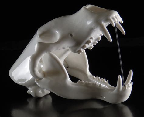 Bear Skull 3D Print by Printing3D on Etsy