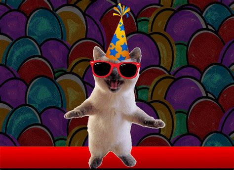 Funny Cat Colorful Thank You. Free Birthday Thank You eCards | 123 ...