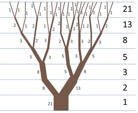 Dicas Grátis Para Ganhar Na Lotofácil - Números de Fibonacci - Dicas de Loterias