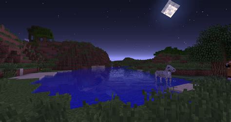 Shaders + Potion of Night Vision = nonbo? : r/LifeInTheWoods