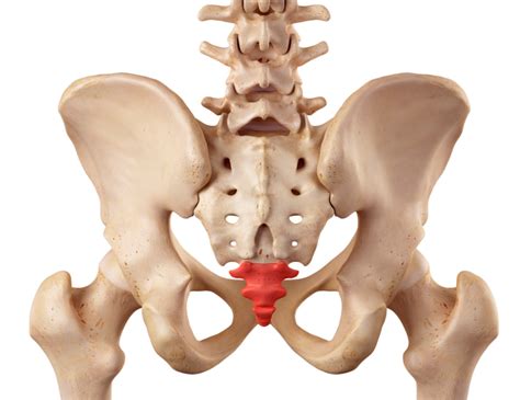 Tailbone Pain or Coccydynia : Causes and Treatment - Revitalize Medical Center