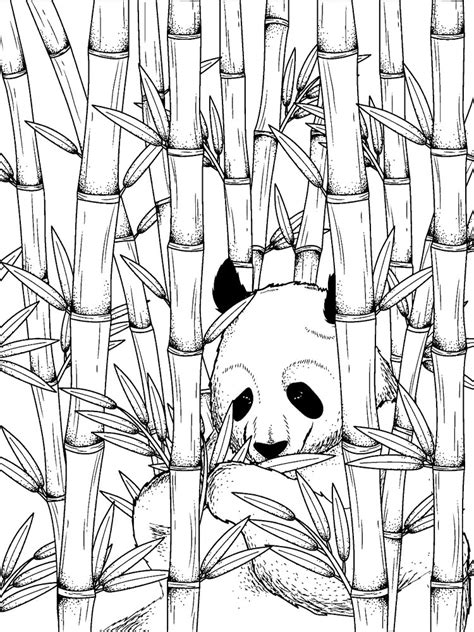 Bamboo coloring pages