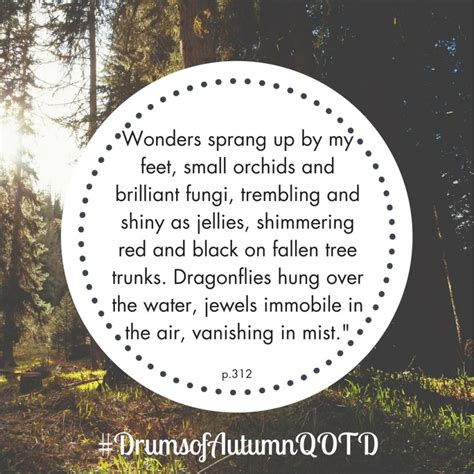 Drums of Autumn Quotes – The Urban Outlander