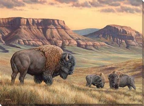 Bison Buttes Wrapped Canvas Art | Bison art, Buffalo art, Wildlife art