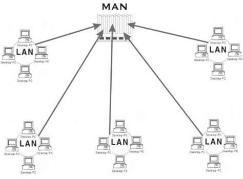 Contoh Gambar Jaringan Man – kabarmedia.github.io