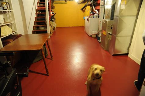 Maggie, the doggie, saying hi in the newly painted basemen… | Flickr