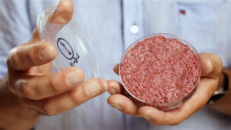 Lab-grown meat: How to reduce meat without refusing it - Community - The Jakarta Post