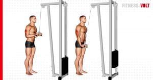 The Cable Triceps Pushdown Exercise Guide & Videos – Fitness Volt