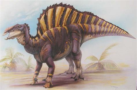 Ouranosaurus Pictures & Facts - The Dinosaur Database