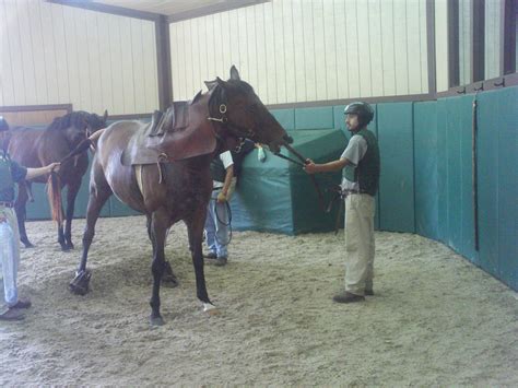 A trip to the breeding shed: WinStar Farm | Eventing Nation - Three-Day ...