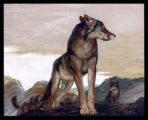 Wolf Vintage Art Painting Free Stock Photo - Public Domain Pictures