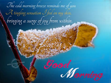 The Cold Morning Breeze Reminds Me Of You - Good Morning Wishes & Images