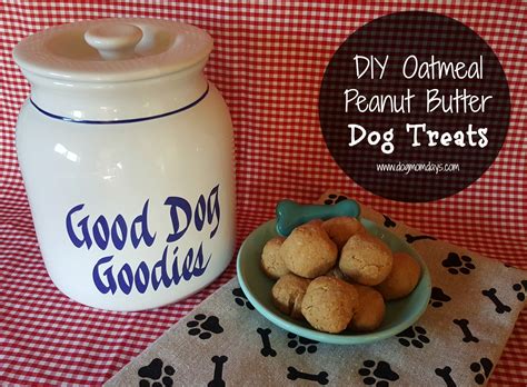 Recipe: Oatmeal Peanut Butter Dog Treats - Dog Mom Days