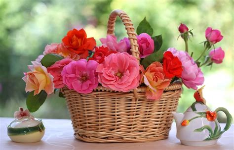 1080x2636 roses, flowers, basket 1080x2636 Resolution Wallpaper, HD ...