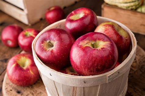 Apple Picking Near Me: Best Orchards in Every State - Parade