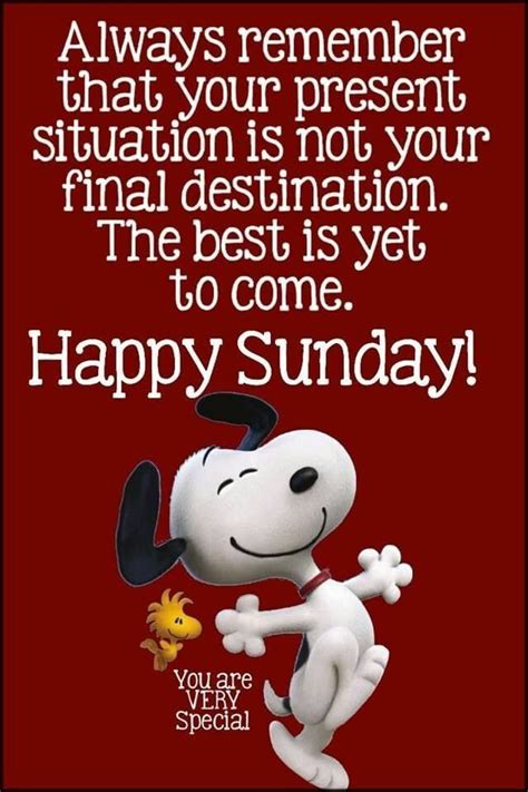 Pin on Peanuts | Happy sunday quotes, Sunday quotes funny, Happy sunday morning