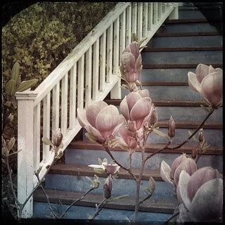 Magnolia house series | ipad textures | Nick Kenrick | Flickr