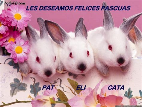 MAMA MÍA: Felices Pascuas amigos!!!