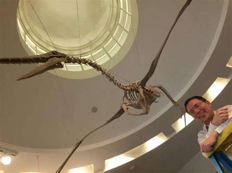 Curator at Bruce Museum discusses science exhibits, By Andrea Valluzzo—Darien Times— Published 9 ...