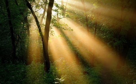 Rays of Sunshine Wallpapers - Top Free Rays of Sunshine Backgrounds - WallpaperAccess