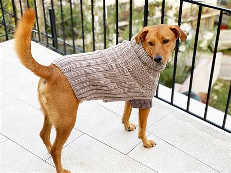 10 Beautiful Fall Dog Sweater Knitting Patterns | Handy Little Me