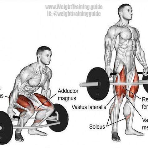 Image result for hex bar deadlift target muscles #DoingDeadliftExercises | Trap bar deadlift ...