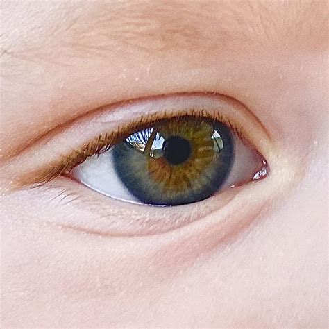 My daughter’s eyes are blue, green, and brown : r/mildlyinteresting