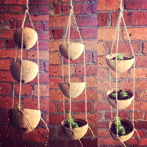 House Plants Hanging, Planter Pots Outdoor, Planters, Coconut Shell Crafts, Apartment Balcony ...