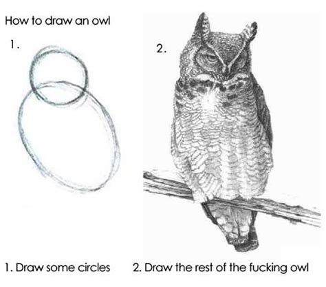 How to draw an owl 12. Draw the rest of the fucking owl1. Draw some ...