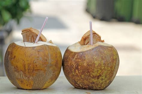 Coconut Drink Recipe | Besto Blog