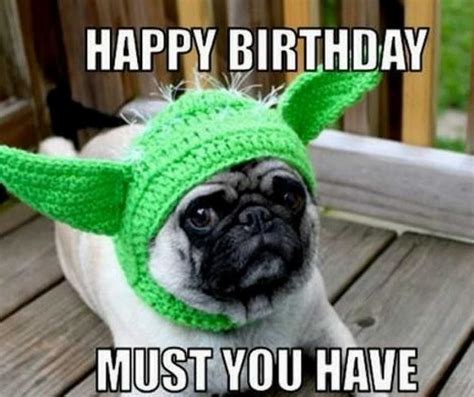 Hilarious Happy Birthday Memes To Brighten Anyone’s Special Day! | Happy birthday dog meme ...