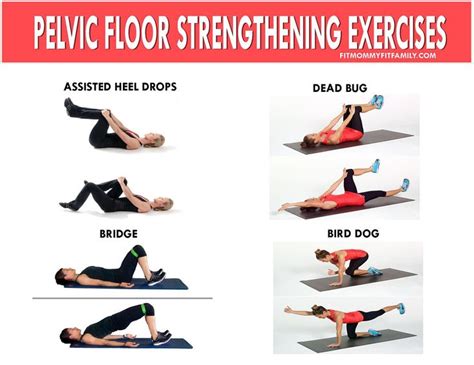 Pelvic floor and abdominal rehab exercises. Along with breathing re-education this is just the ...