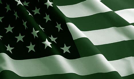 green american flag | Intercon