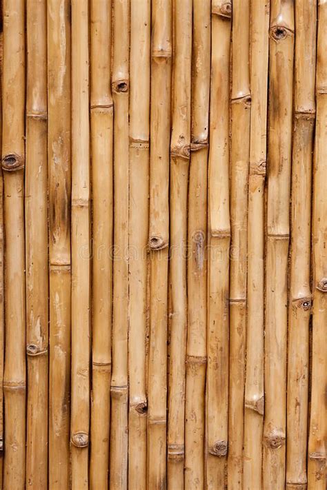 Bamboo stock image. Image of textures, abstract, bamboo - 11237863, | Texture, Bamboo background ...