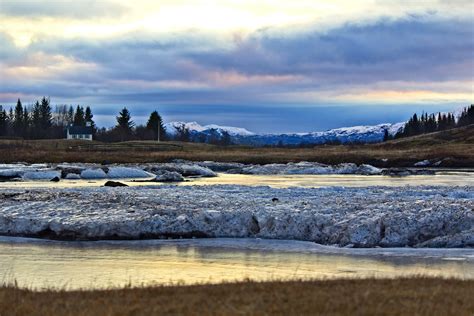 Snow Covered Field · Free Stock Photo