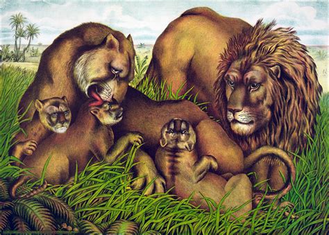 The lion family, 1874 | The lion family. Chromolithograph by… | Flickr